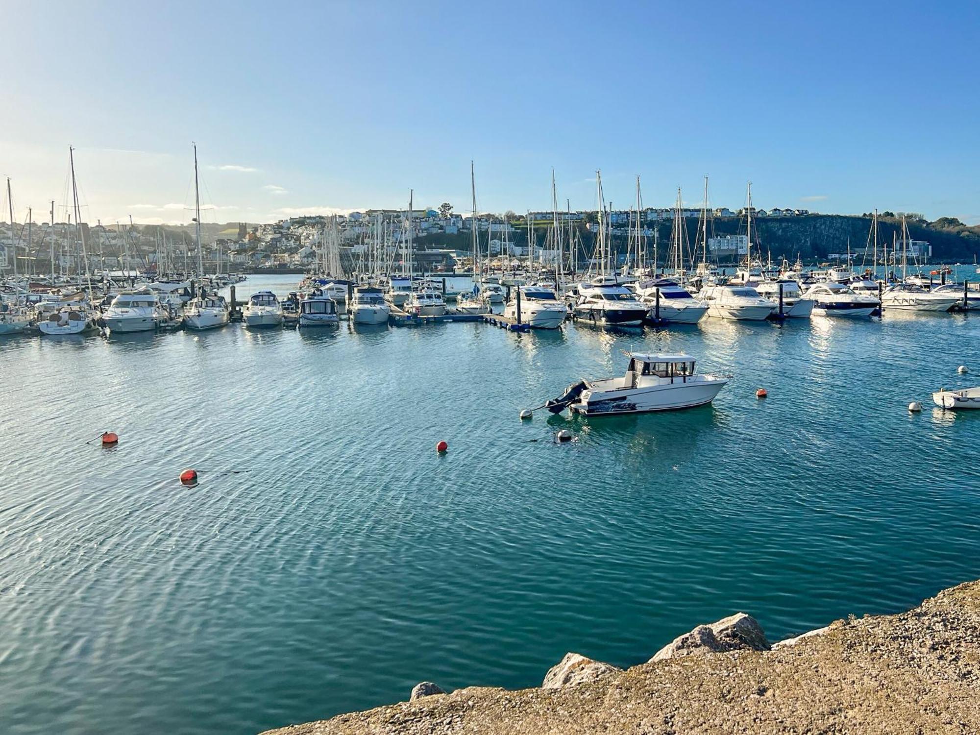 9 Dolphin Court Daire Brixham Dış mekan fotoğraf
